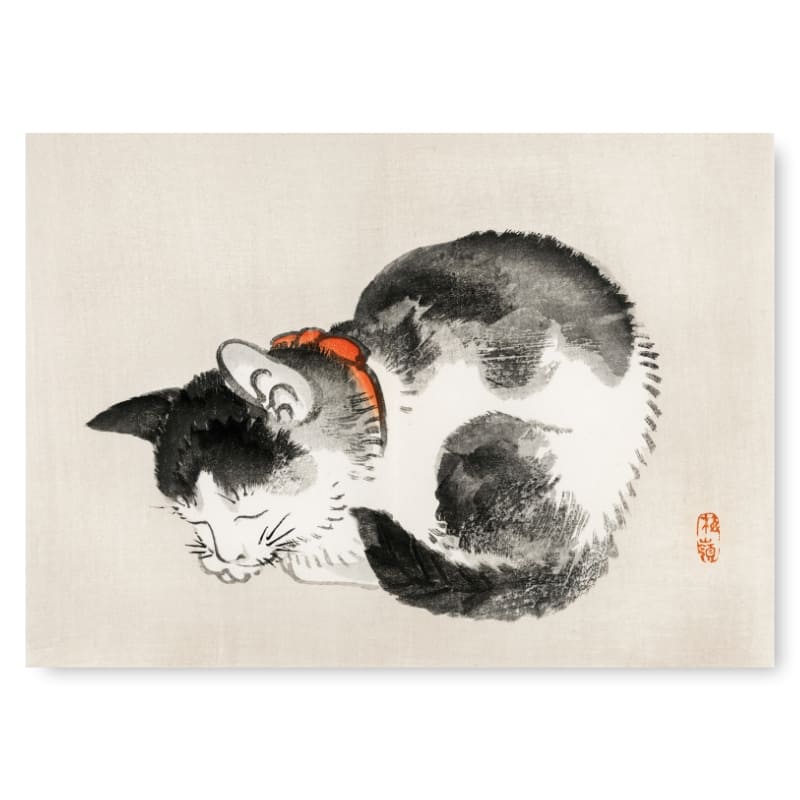 Billede af japansk kat A3
