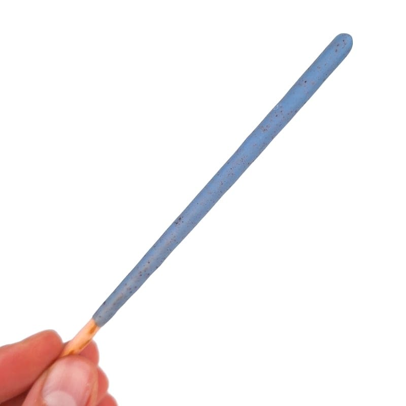 Blåbær Pocky Stick Heart