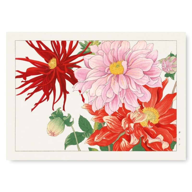 Dahlia-blomst med japansk tryk A3