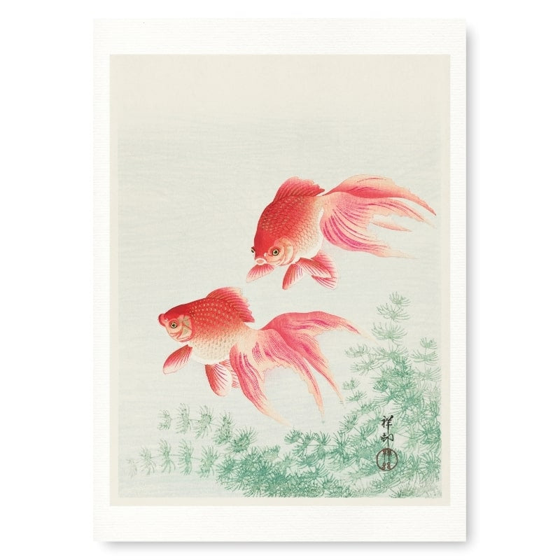 Guldfisk med japansk tryk A3