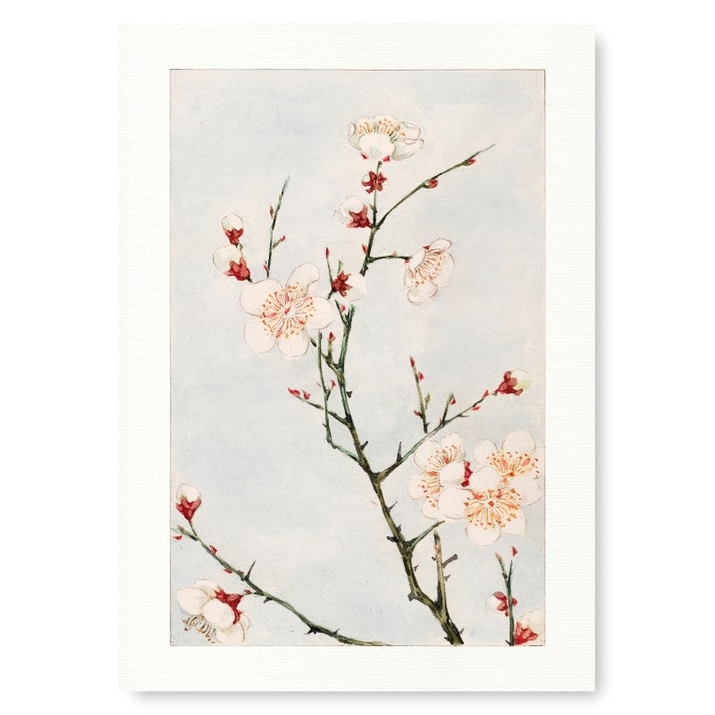 Japansk blomme-blomstertryk A3