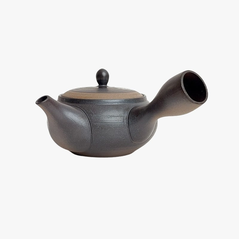 Japansk Kyusu Tokoname tekande