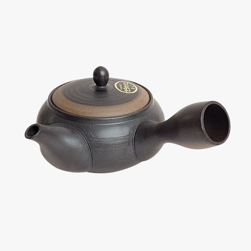 Japansk Kyusu Tokoname tekande
