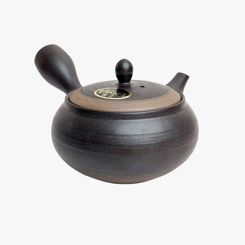 Japansk Kyusu Tokoname tekande