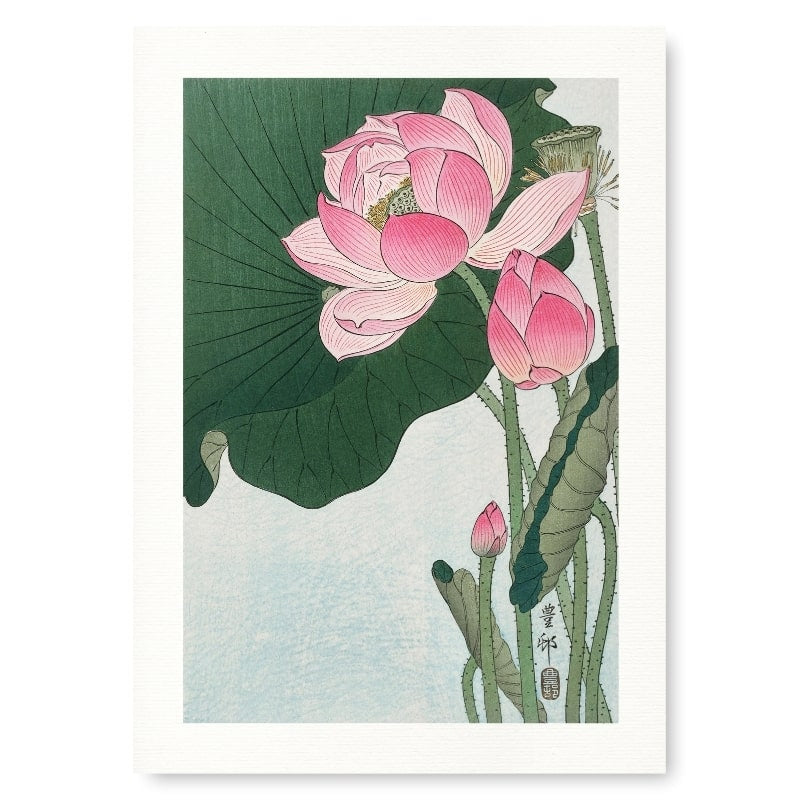 Japansk lotusblomst print A3