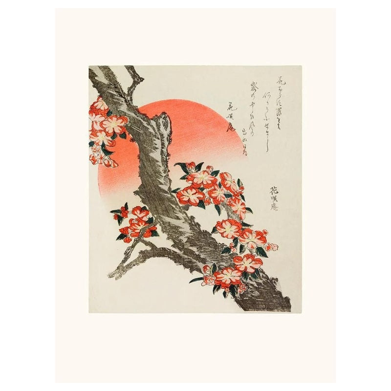 Japansk plakat med kirsebærblomster - A3