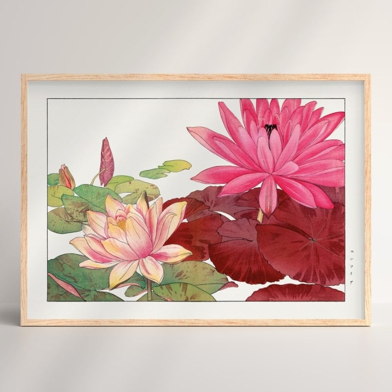 Japansk tryk Nymphaea Lotus A3