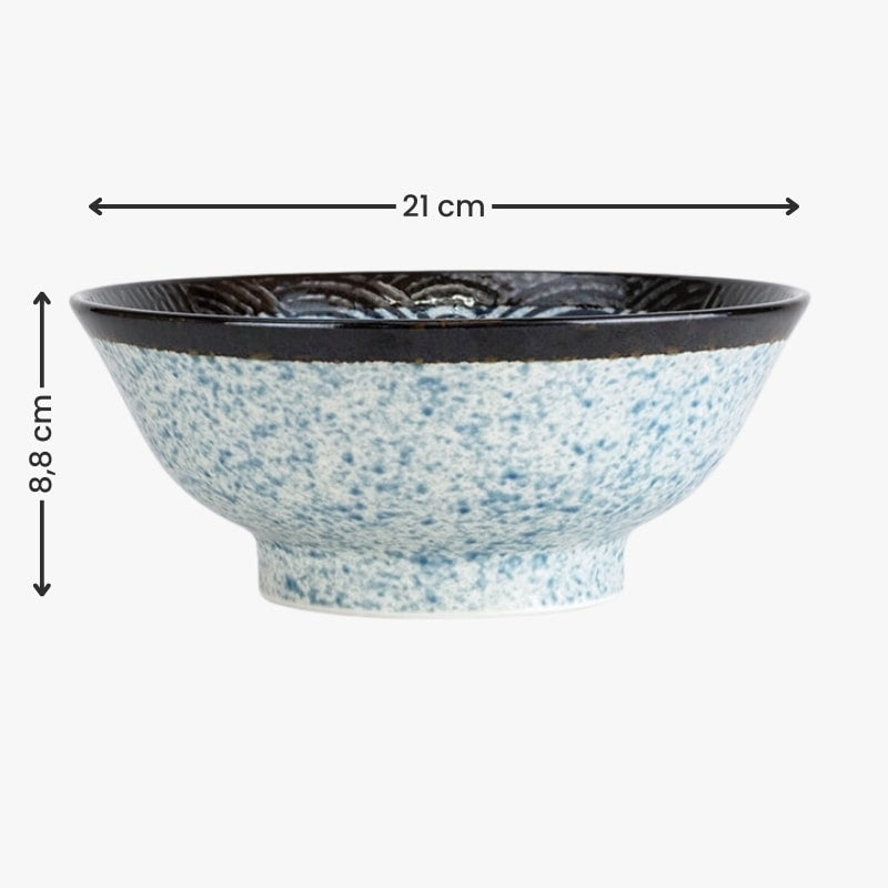 Nami japansk donburi-skål