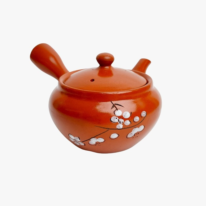 Rød Kyusu japansk tekande