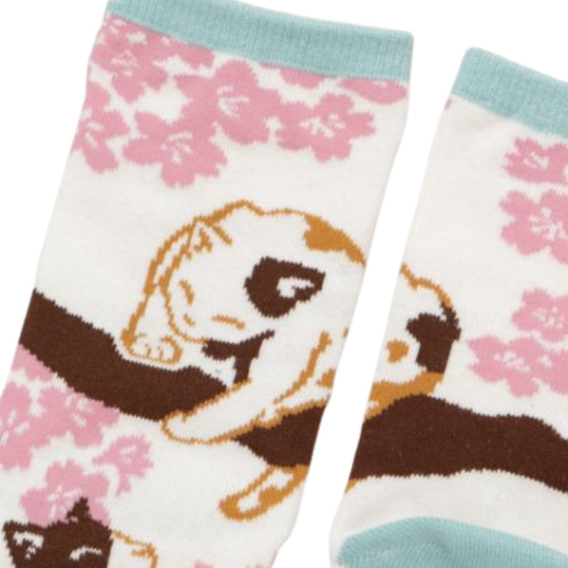Tabi Sakura katte-sokker