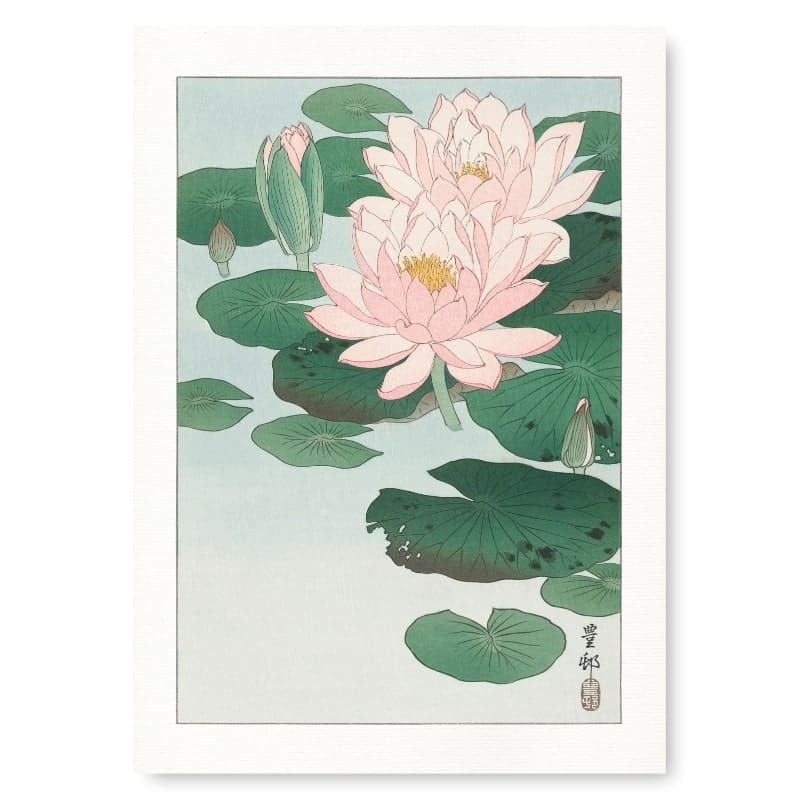 Vandlilje Print Poster A3