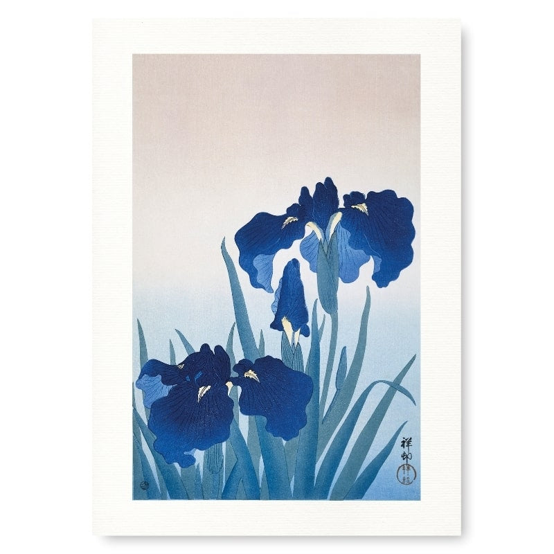 Blå Iris japansk print A3