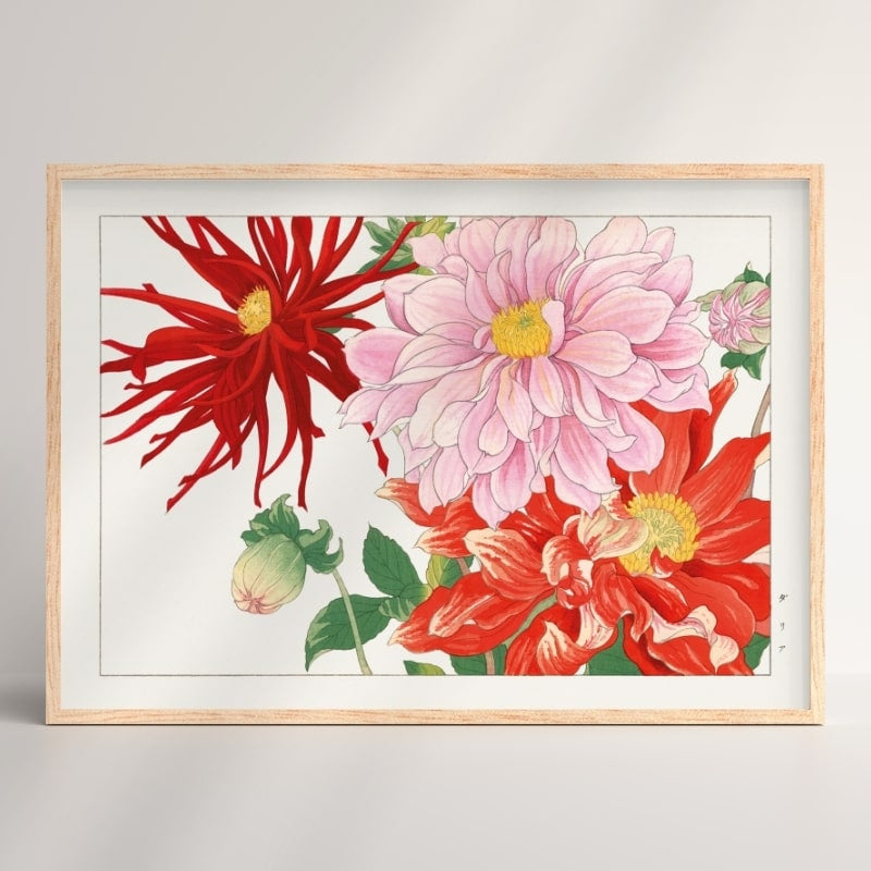 Dahlia-blomst med japansk tryk A3