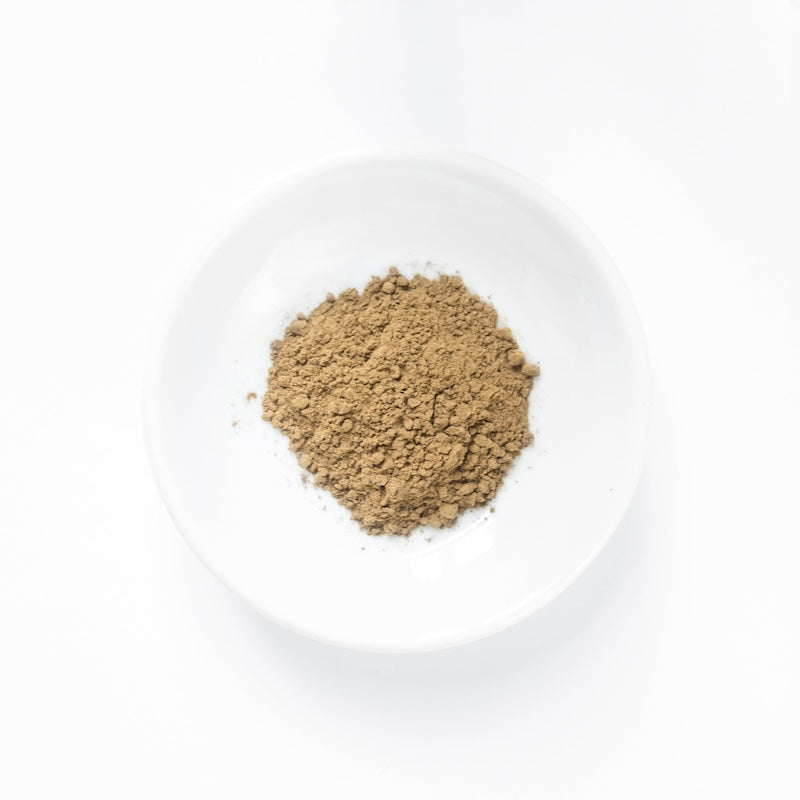 Hojicha te-pulver