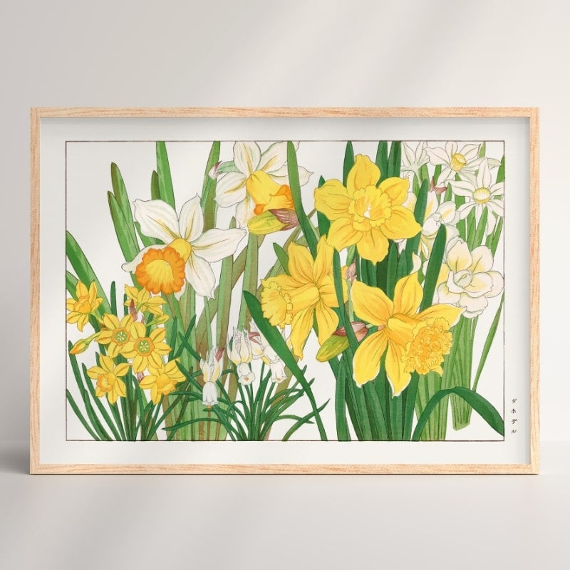 Japansk påskelilje blomsterprint A3
