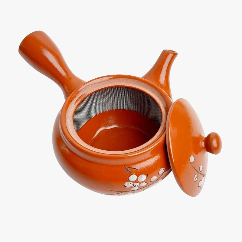 Rød Kyusu japansk tekande