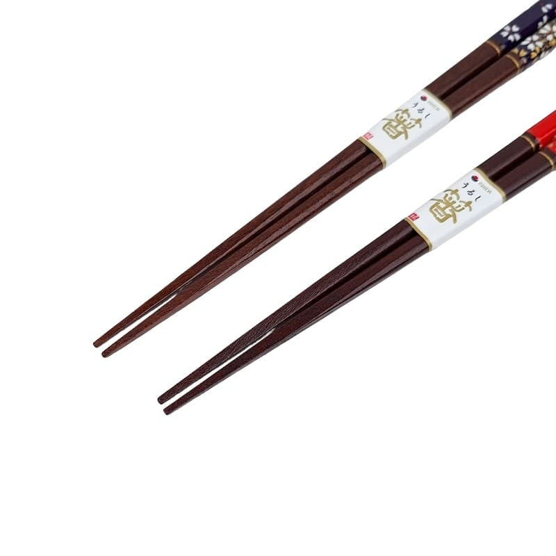 Rødt og blåt japansk spisepindesæt
