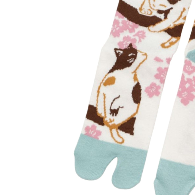 Tabi Sakura katte-sokker