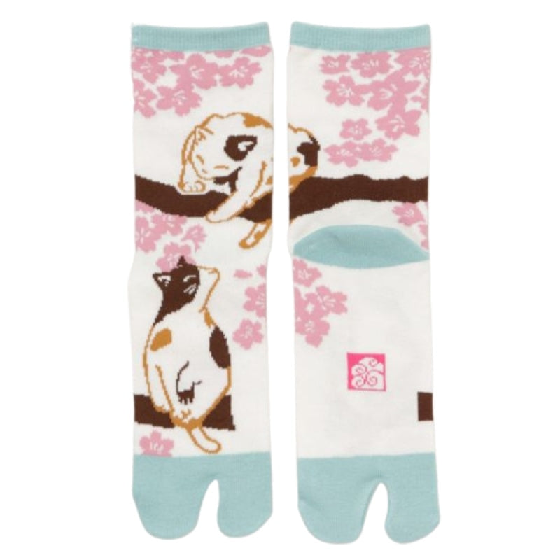 Tabi Sakura katte-sokker