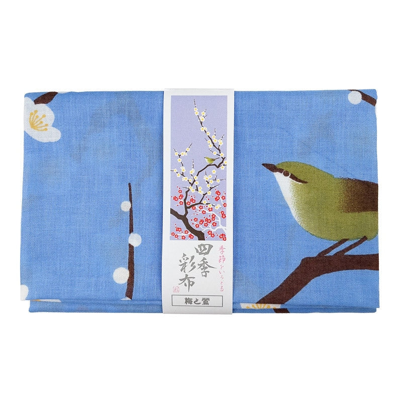 Tenugui Spring